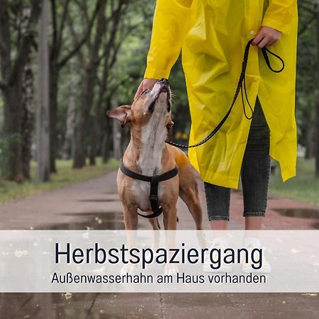 Ferienloft Sternenblick - Strandnah, Haustierfreundlich, Tolle Kueche, Optimal Fuer Workation, 4 Personen Steinberg  Exteriör bild
