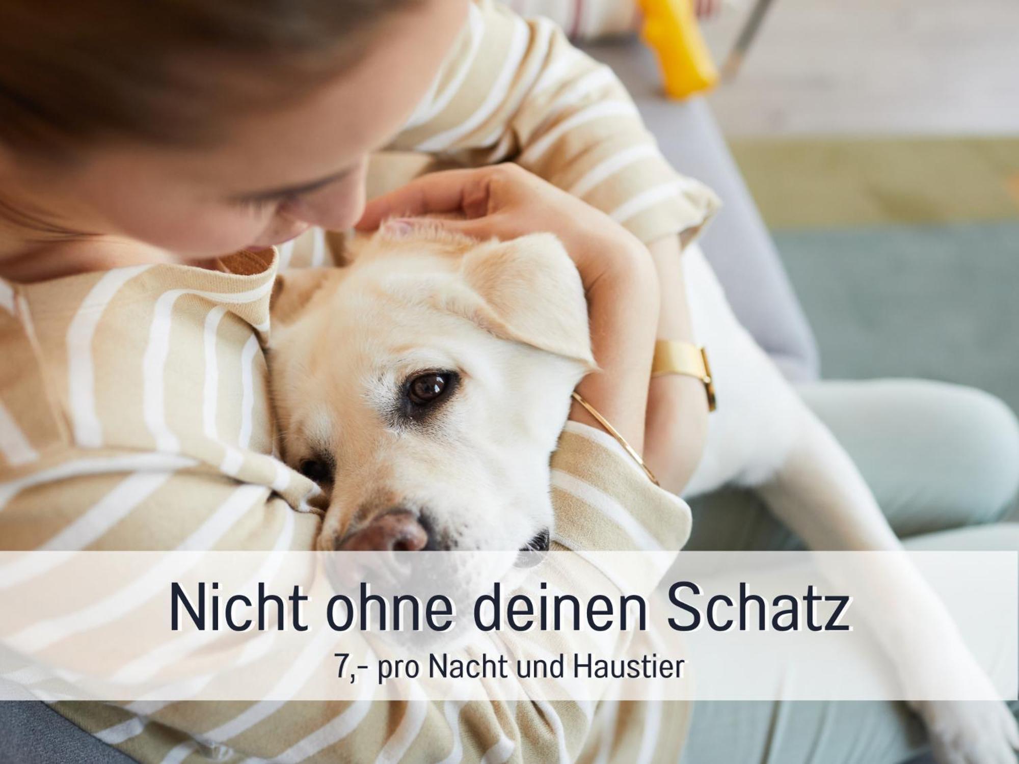 Ferienloft Sternenblick - Strandnah, Haustierfreundlich, Tolle Kueche, Optimal Fuer Workation, 4 Personen Steinberg  Exteriör bild