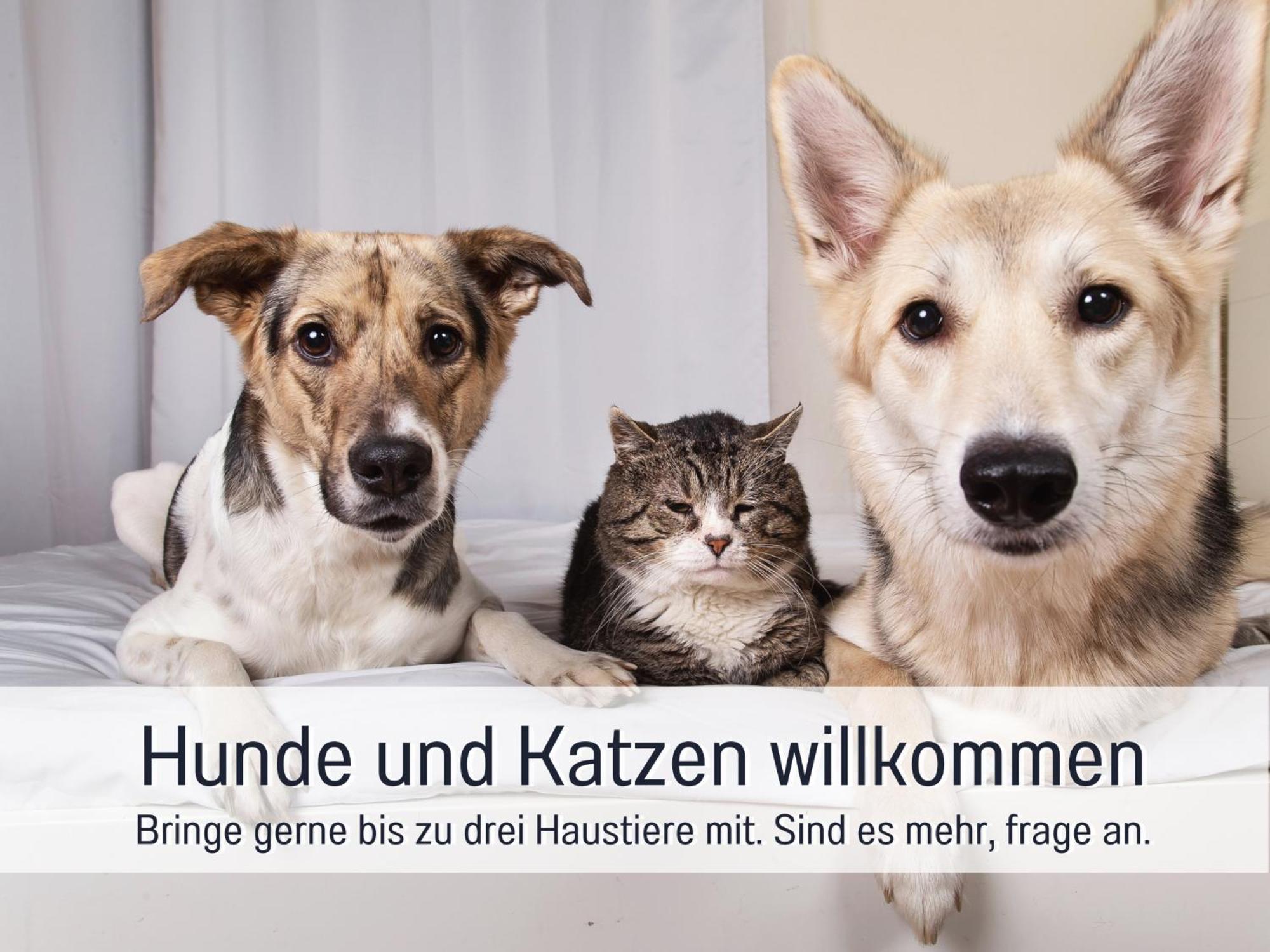 Ferienloft Sternenblick - Strandnah, Haustierfreundlich, Tolle Kueche, Optimal Fuer Workation, 4 Personen Steinberg  Exteriör bild