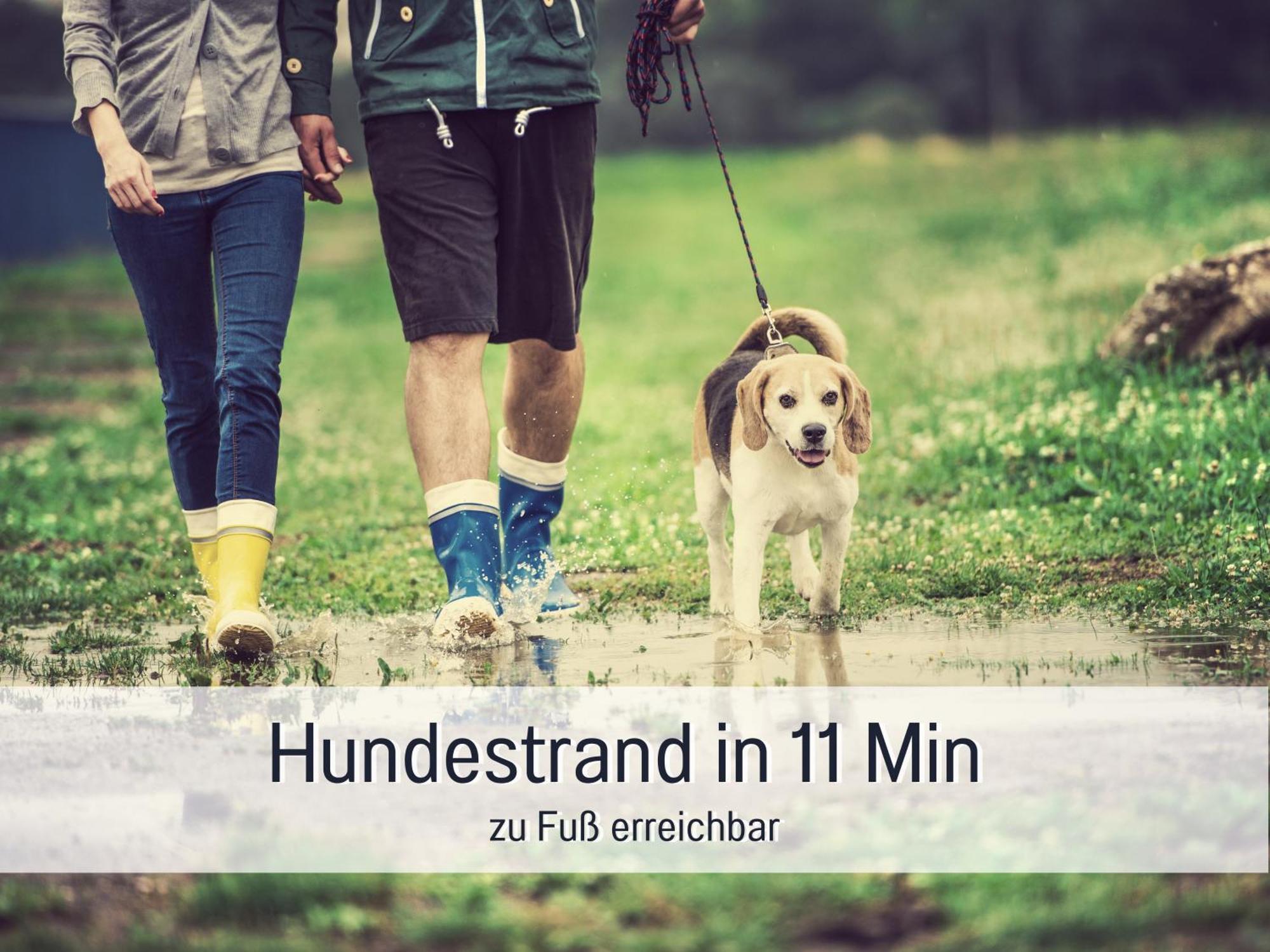Ferienloft Sternenblick - Strandnah, Haustierfreundlich, Tolle Kueche, Optimal Fuer Workation, 4 Personen Steinberg  Exteriör bild