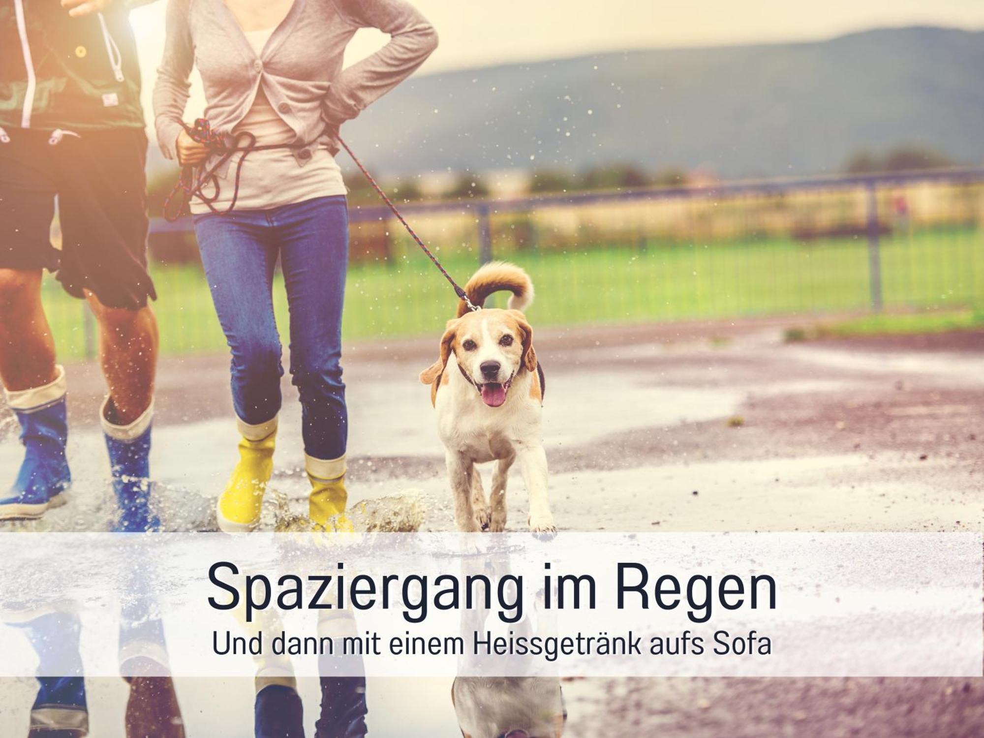 Ferienloft Sternenblick - Strandnah, Haustierfreundlich, Tolle Kueche, Optimal Fuer Workation, 4 Personen Steinberg  Exteriör bild