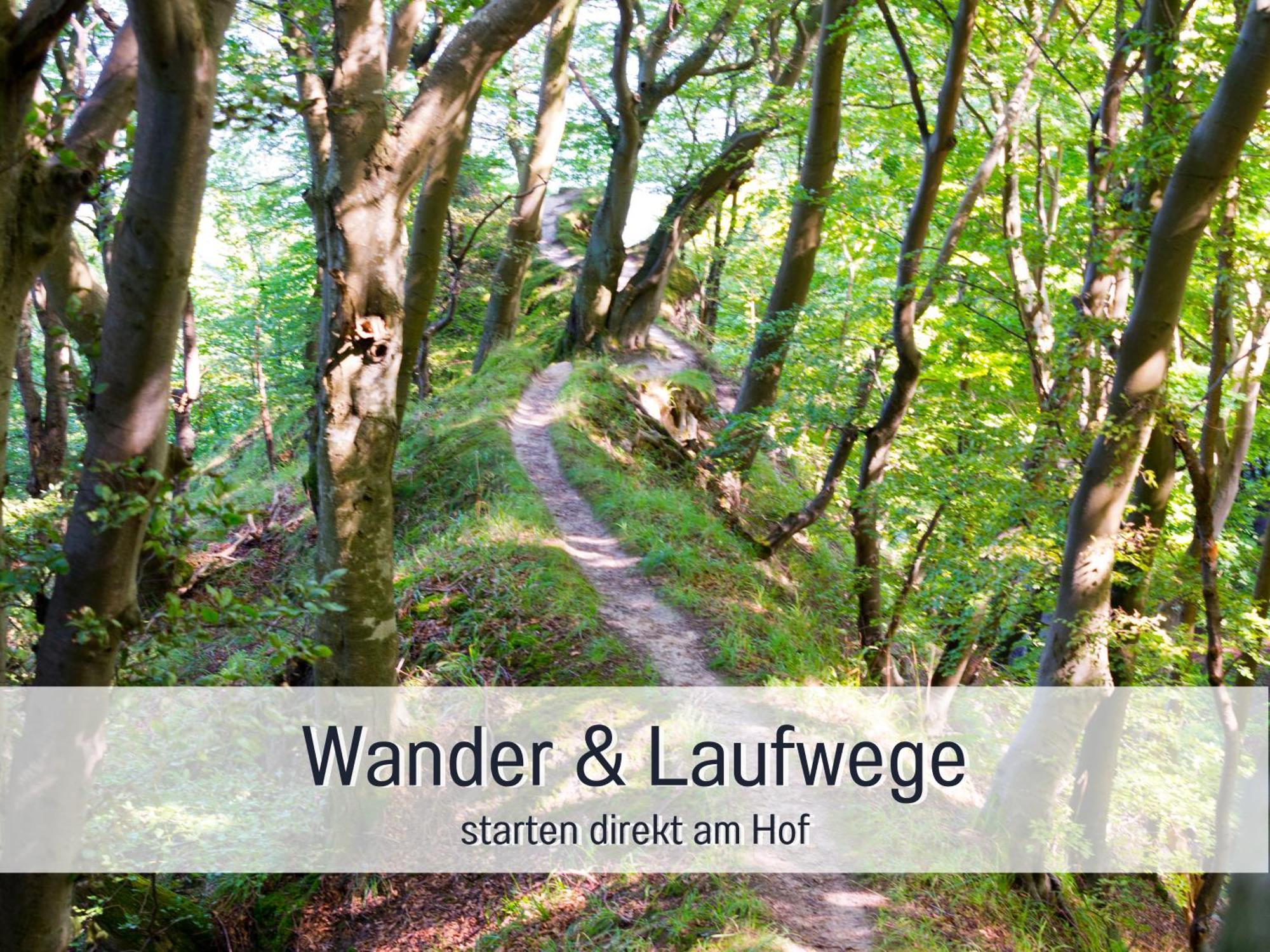 Ferienloft Sternenblick - Strandnah, Haustierfreundlich, Tolle Kueche, Optimal Fuer Workation, 4 Personen Steinberg  Exteriör bild