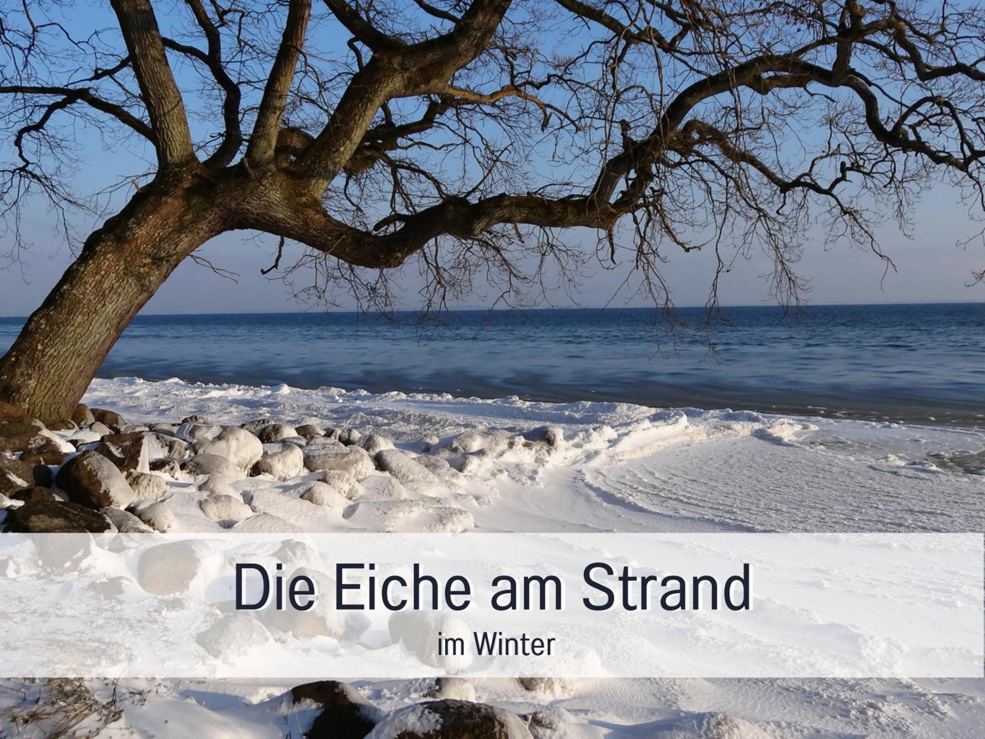 Ferienloft Sternenblick - Strandnah, Haustierfreundlich, Tolle Kueche, Optimal Fuer Workation, 4 Personen Steinberg  Exteriör bild