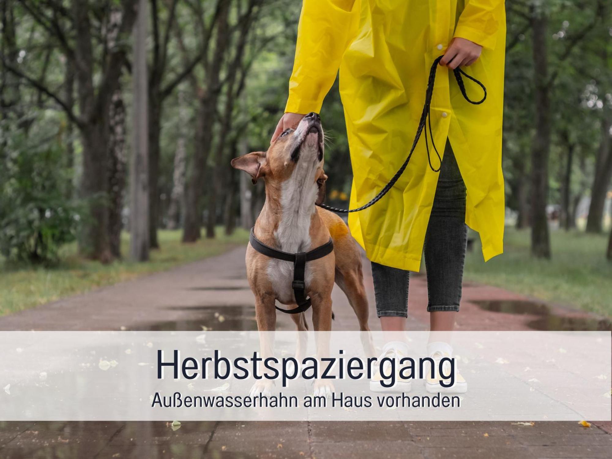 Ferienloft Sternenblick - Strandnah, Haustierfreundlich, Tolle Kueche, Optimal Fuer Workation, 4 Personen Steinberg  Exteriör bild