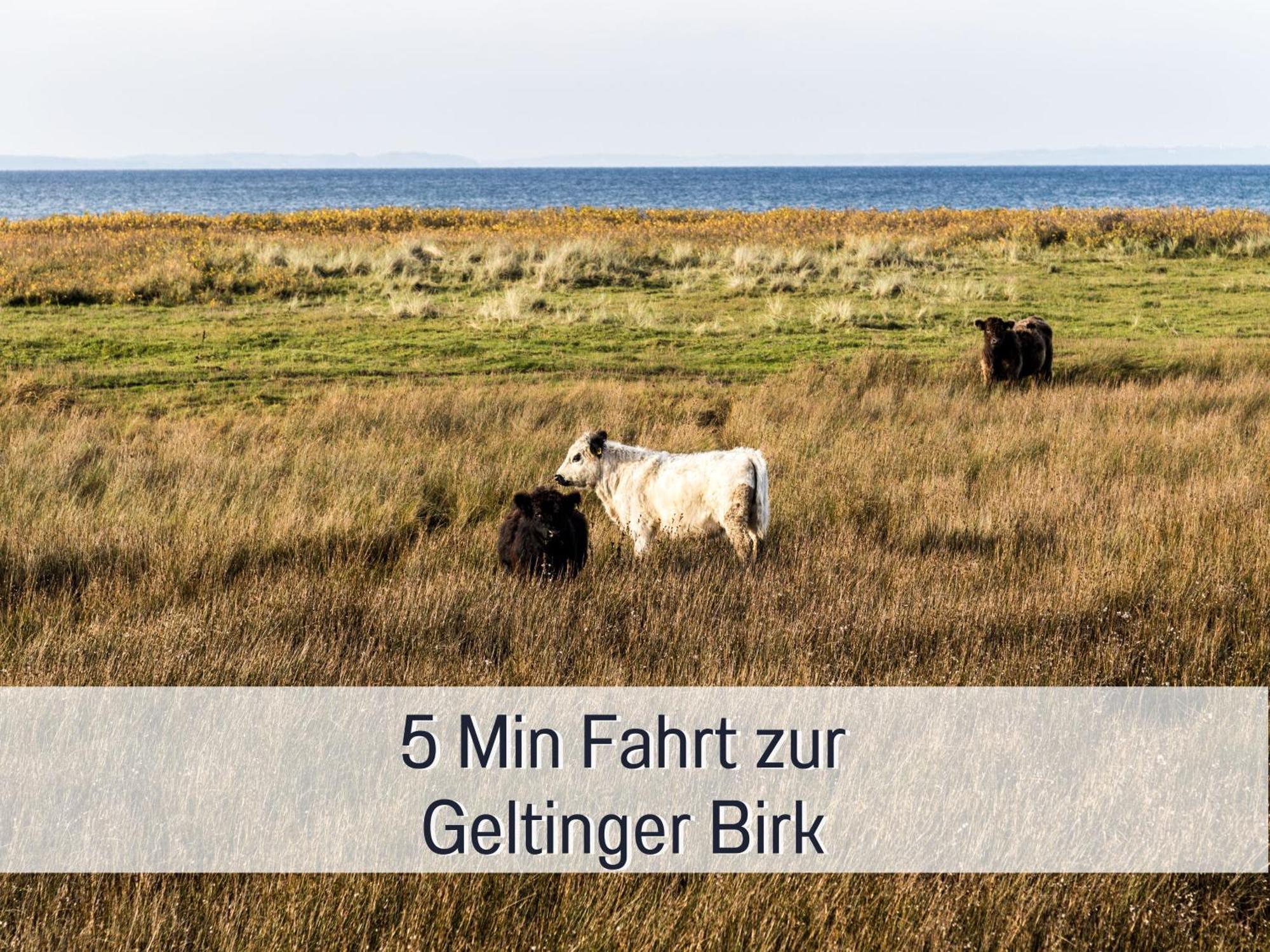 Ferienloft Sternenblick - Strandnah, Haustierfreundlich, Tolle Kueche, Optimal Fuer Workation, 4 Personen Steinberg  Exteriör bild